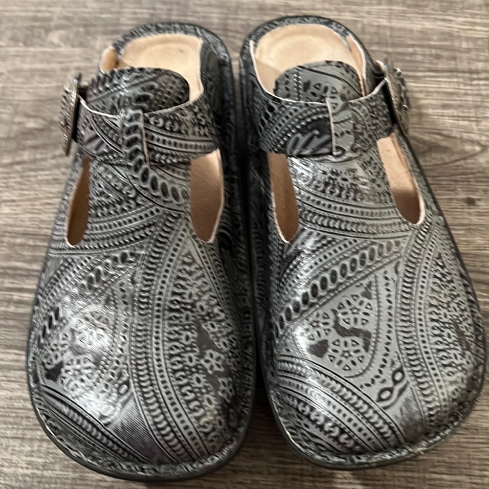 EUC Alegria mule